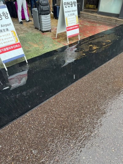 20240421별 일 없기를 바라.jpg