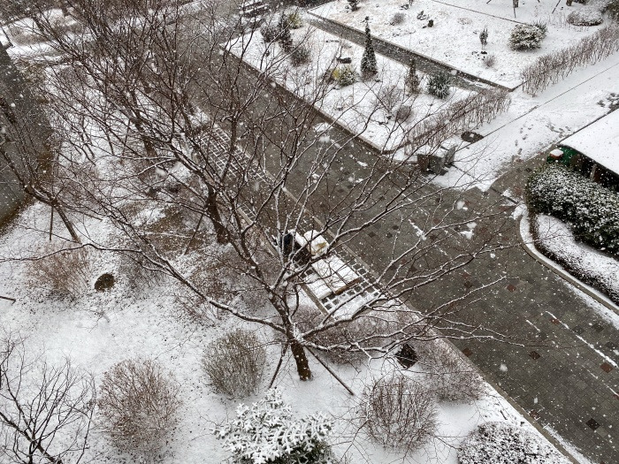 20220201명절이 명절 같지 않아서 좋다.jpg