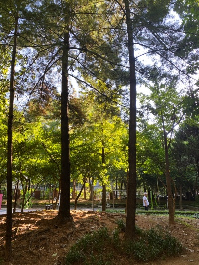 20230903T라서 그런 거였구나.jpg