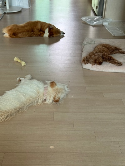 20240629달라,달라도 너무 달라.jpg