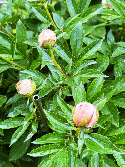 20240518그런걸 시절인연이라고 하더라.jpg