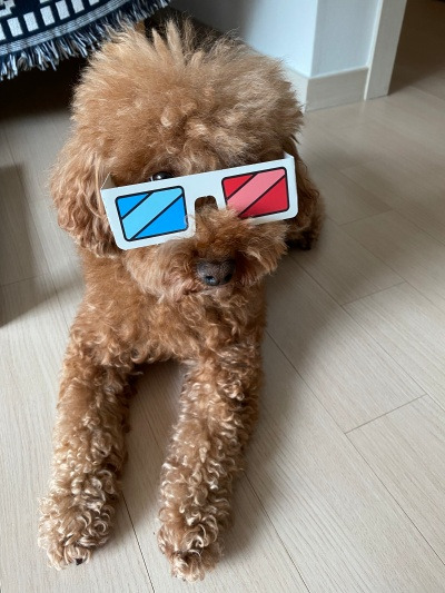 20220614모른다고 하는 것.jpg