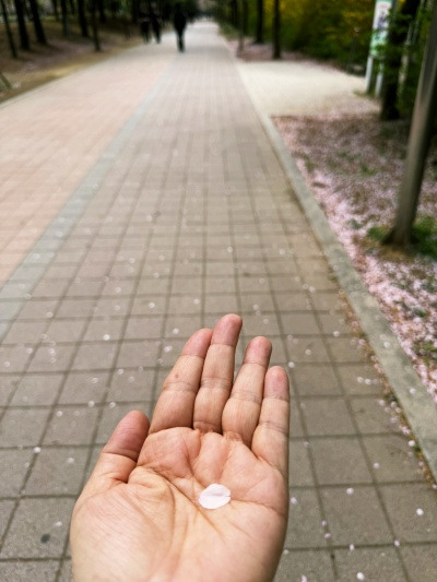 20240412하루는 더 행복하겠네.jpg