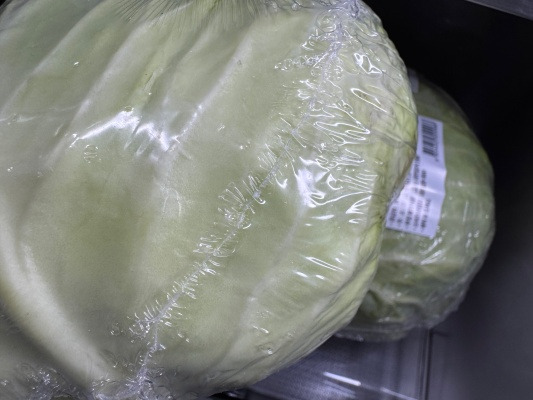 20260102양배추 꿈을 꿨어.jpg