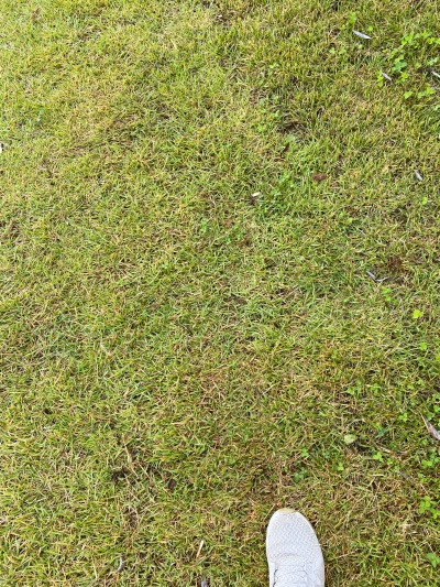 20231004헌신짝 버리기, 쉽지 않아.jpg