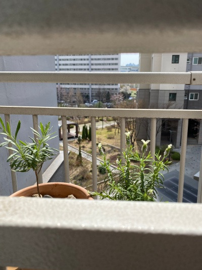 20220405격리해제 되고나면.jpg