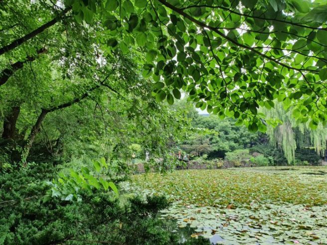 벽초지 수목원2.jpg