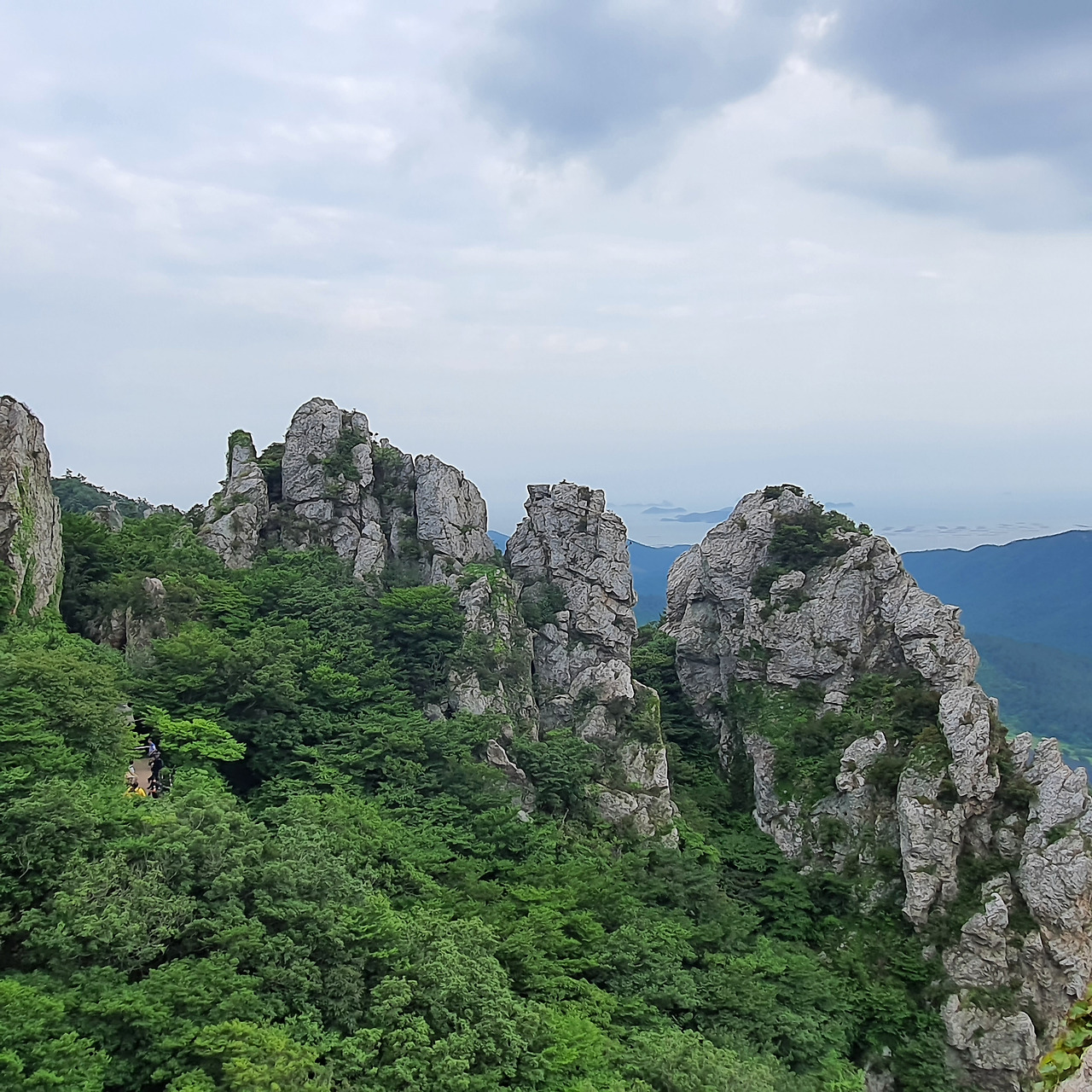 사람의 향기 보.jpg