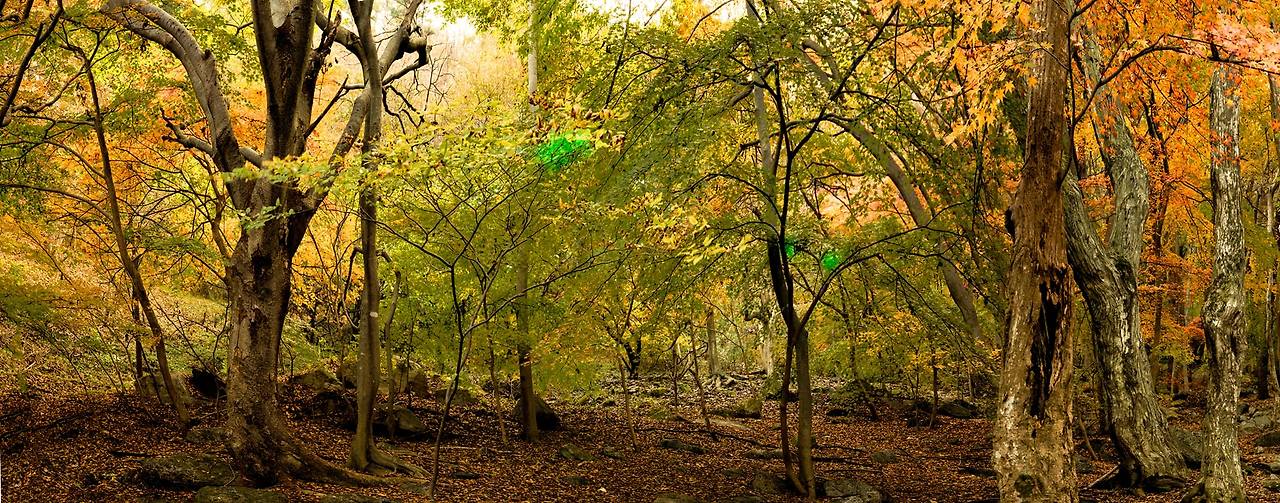 사람의 향기15.jpg