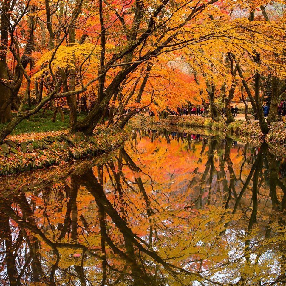 사람의 향기28.jpg