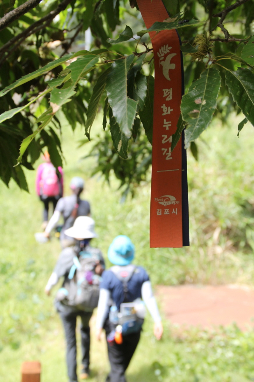 평화누리 길1.jpg