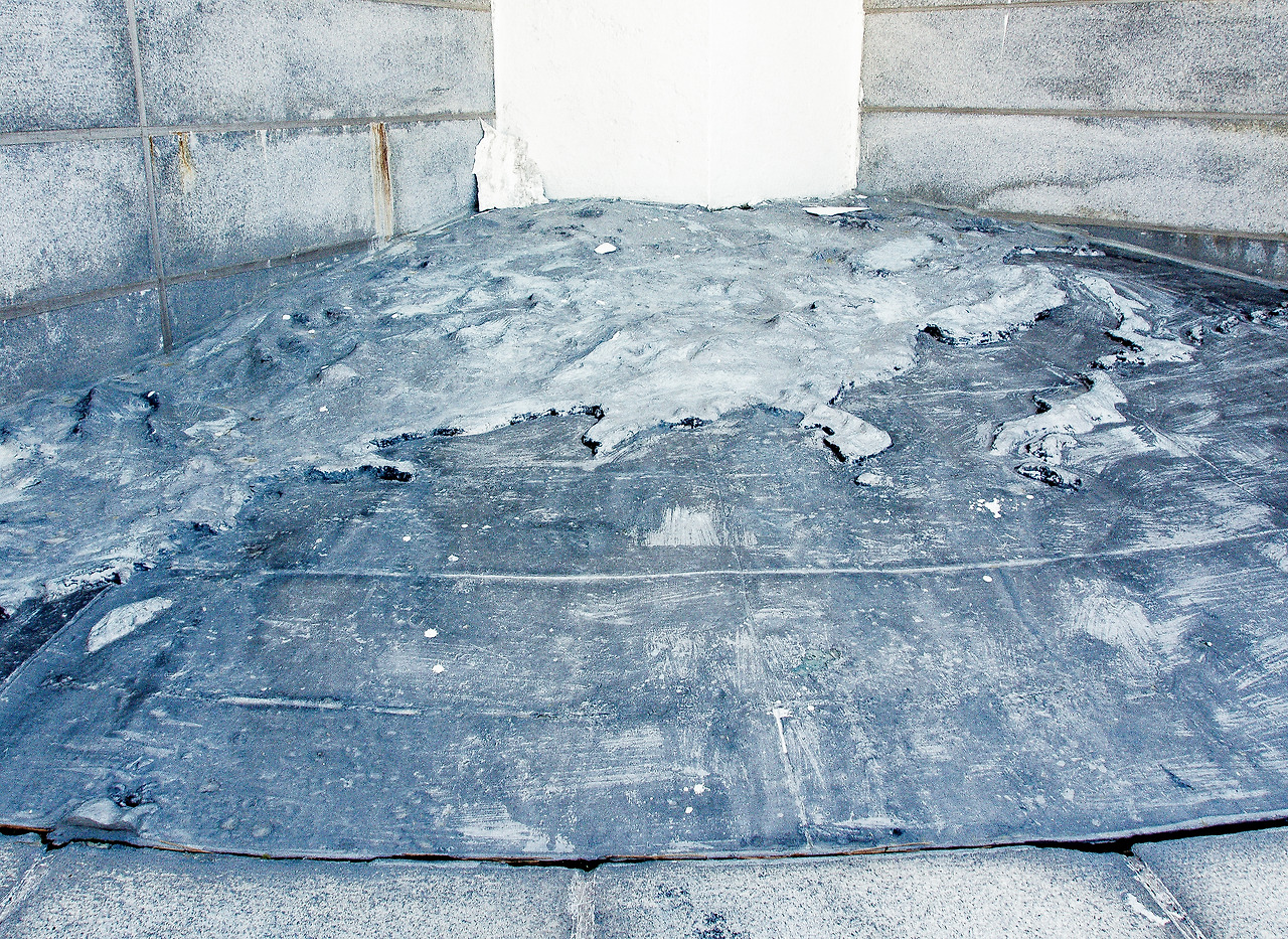 8 부조 하부_edited.jpg