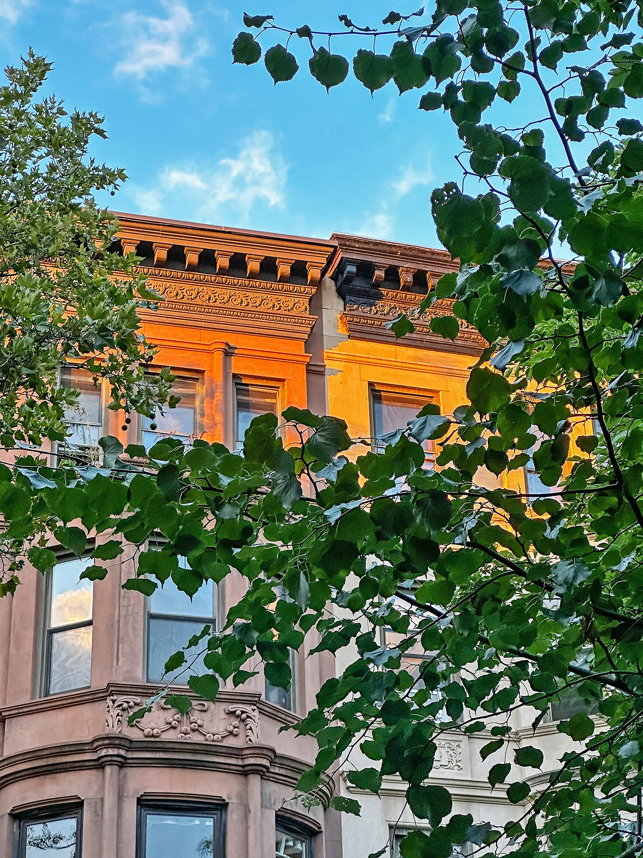 3.브루클린의 브라운스톤으로 만들어진 건물들.jpg