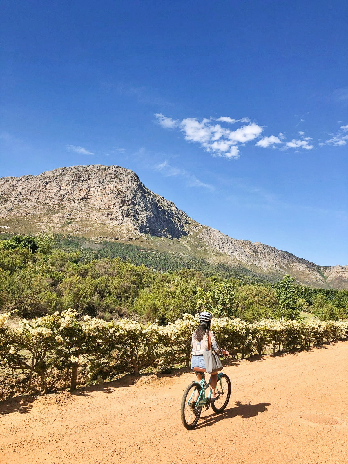 남아공 와이너리 여행에서.jpg