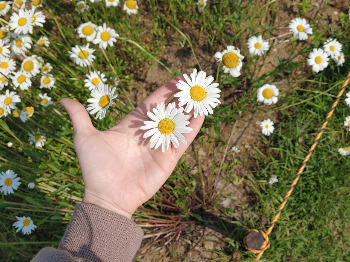 KakaoTalk_20211105_105242515_01 (1).jpg