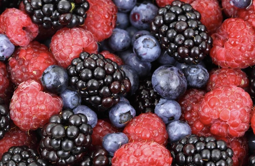 화면 캡처 2023-02-11 160105.jpg