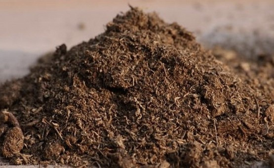 화면 캡처 2022-05-21 201859.jpg