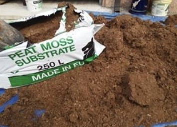 화면 캡처 2022-05-21 202055.jpg