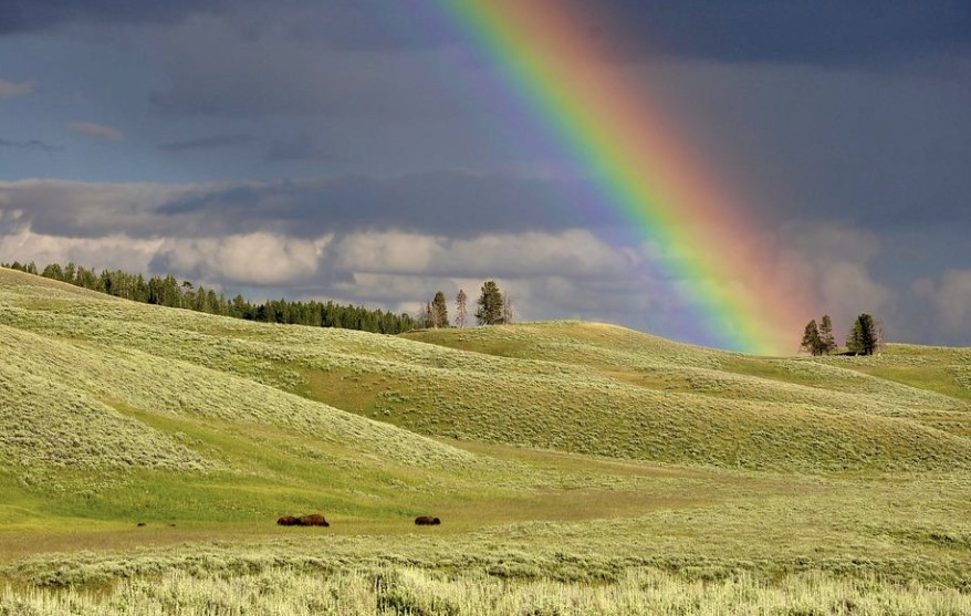 화면 캡처 2022-08-03 182308.jpg