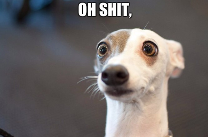 화면 캡처 2022-11-18 232910.jpg