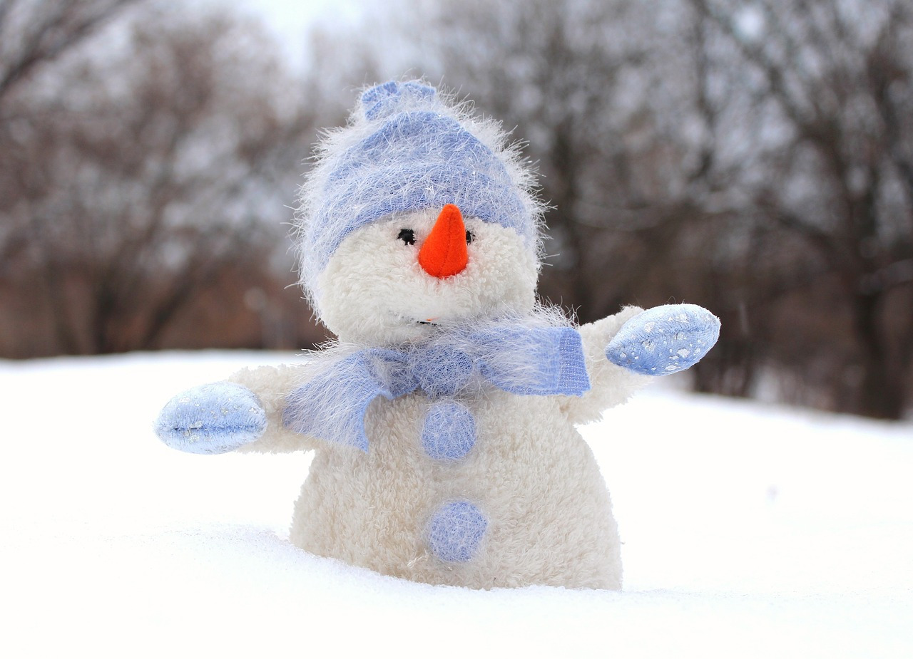 snowman-1072189_1280.jpg