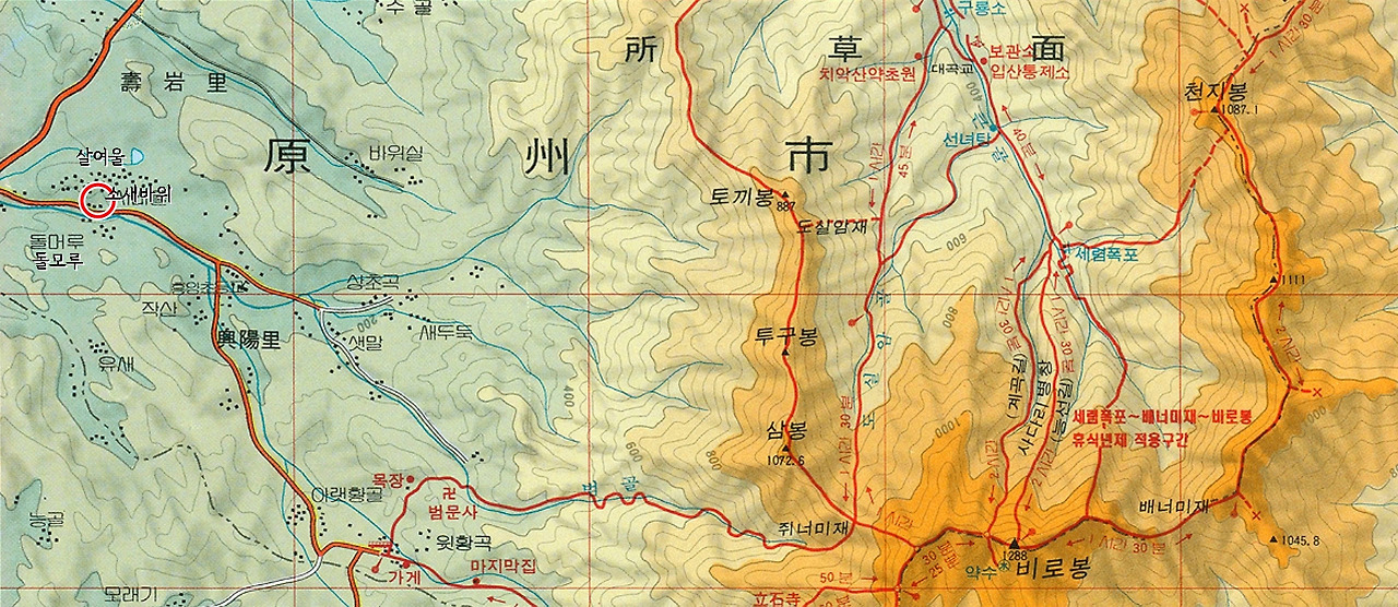 소새바우_원주 소초면.jpg