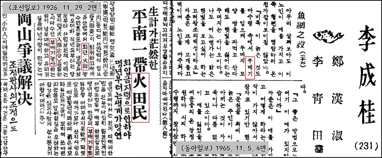 부대기와 부데기.jpg