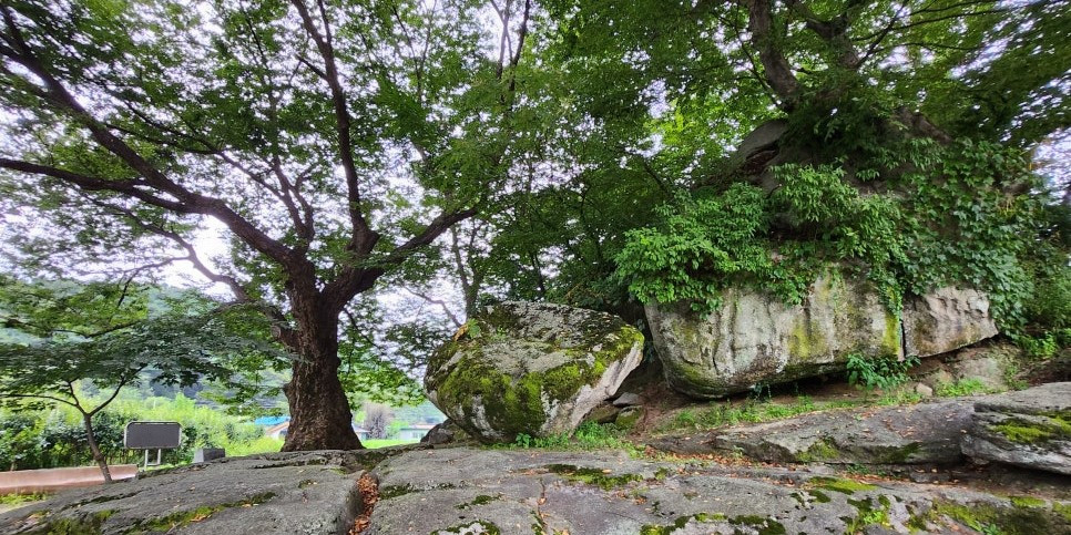 소새바위_원주 소초 흥양01.jpg