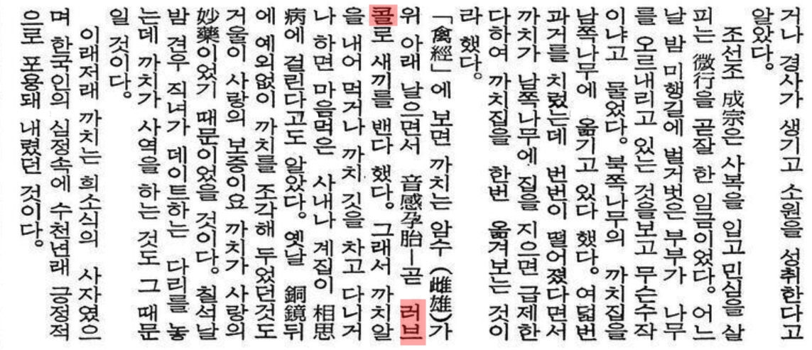 러브콜 870614 5면 까치.jpg