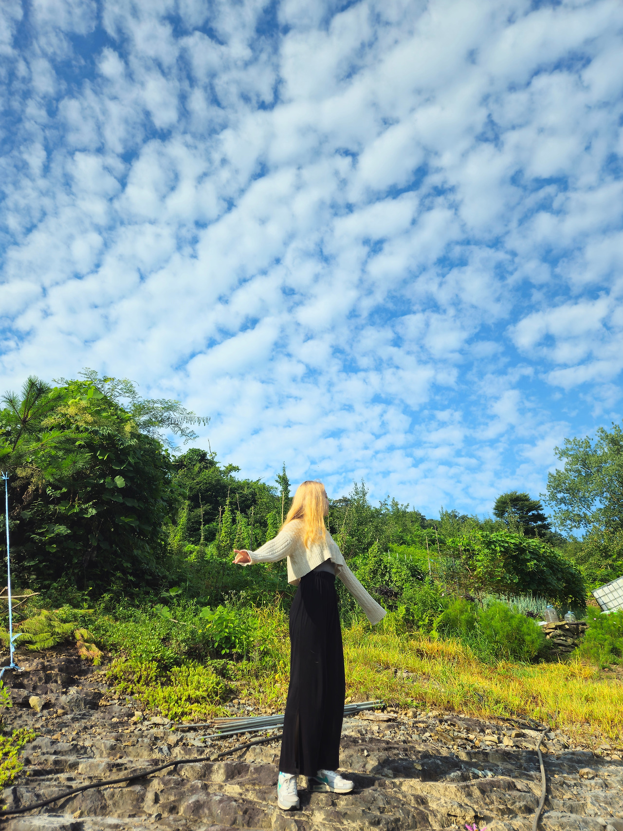 Ch4_전라도_사진14_양봉장 옆 돌배밭.jpg