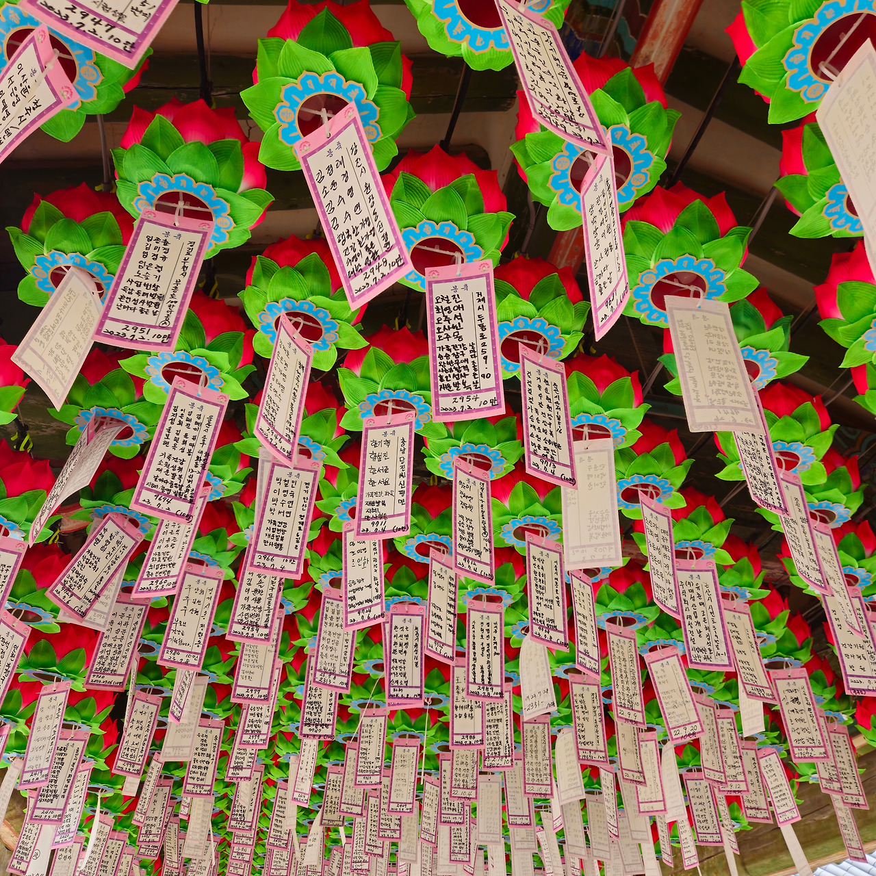 Chapter6_경상도_사진9_연등에적힌소원들.jpg