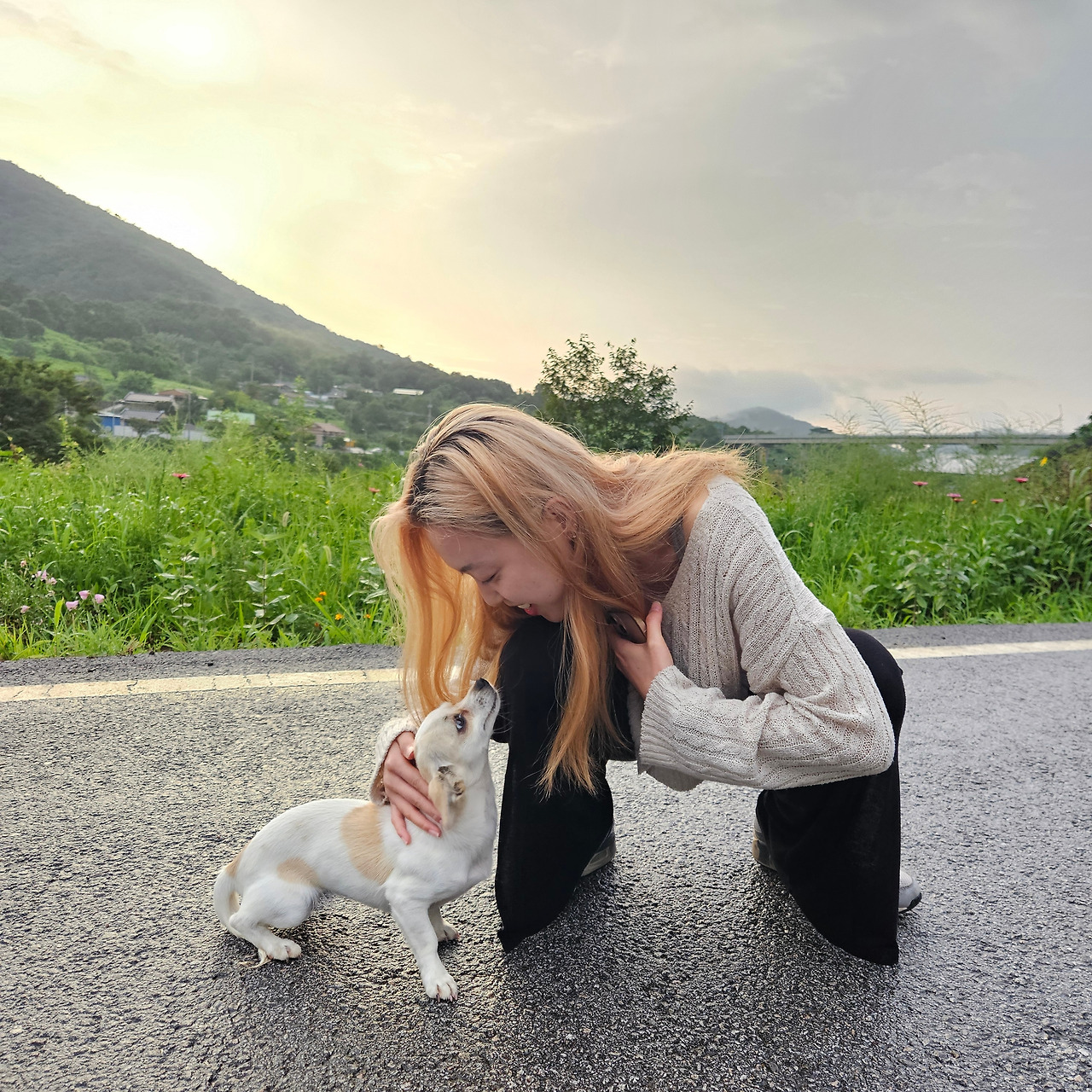 Ch4_전라도_사진2_사람좋아하는 강쥐.jpg