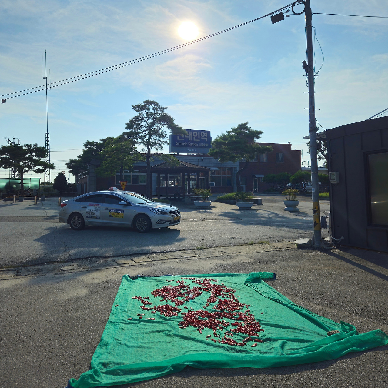 Ch4_전라도_사진8_고추의 꿈.jpg