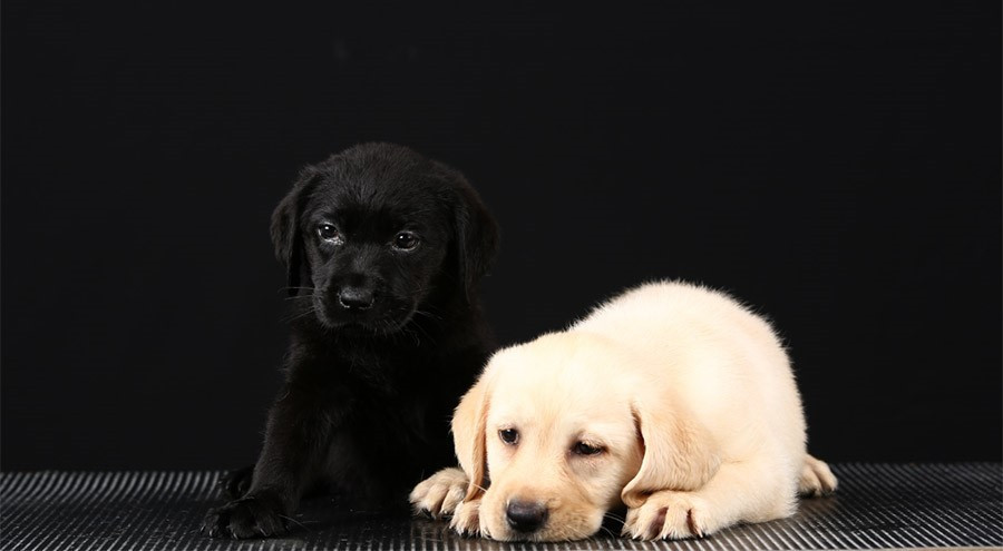 다운로드 (1).jpg