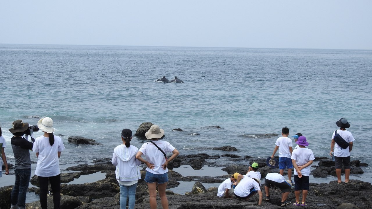 핫핑크돌핀스 활동사진 (12).jpg