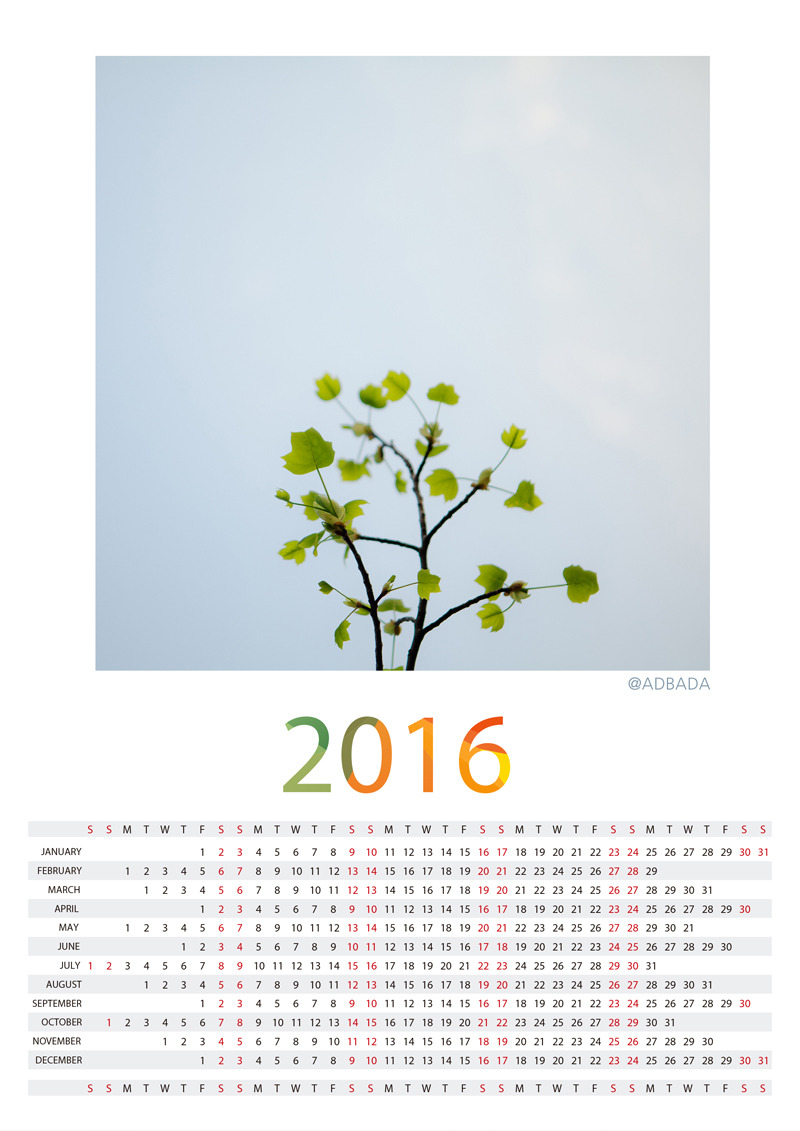 2016 달력800.jpg