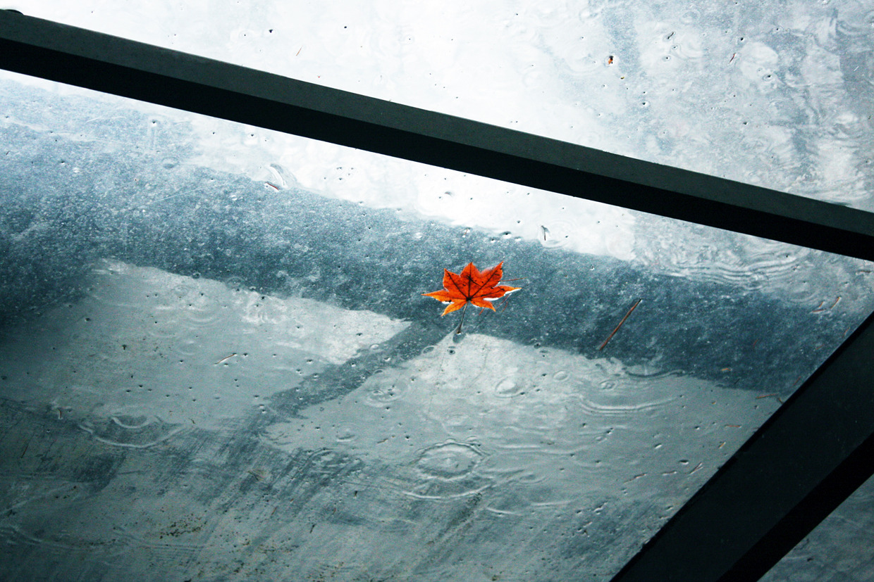 151130 비에 젖은 추억.jpg