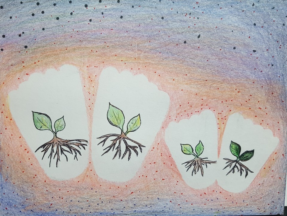 결혼 이야기.jpg