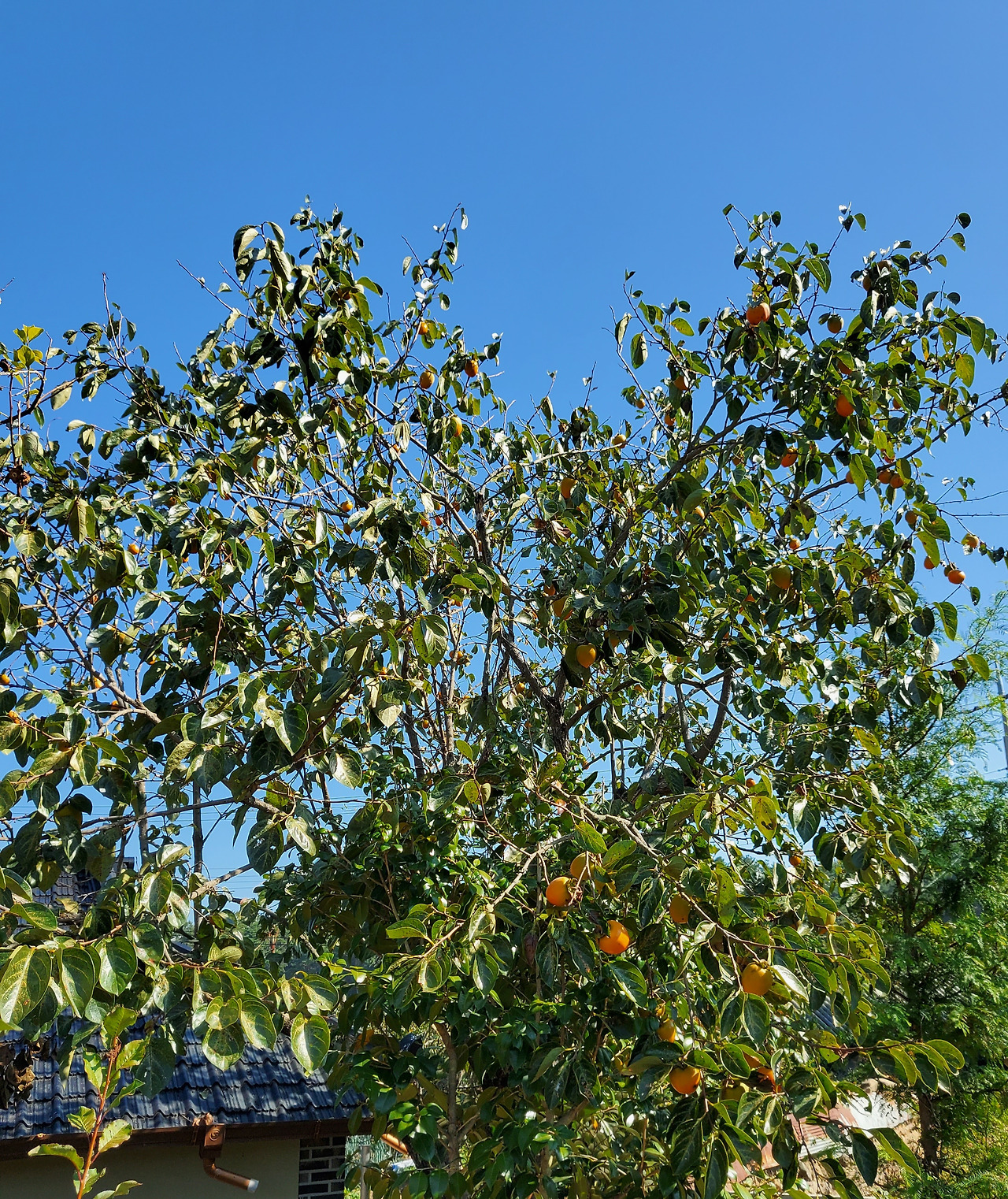 사본 -20220930_100622.jpg