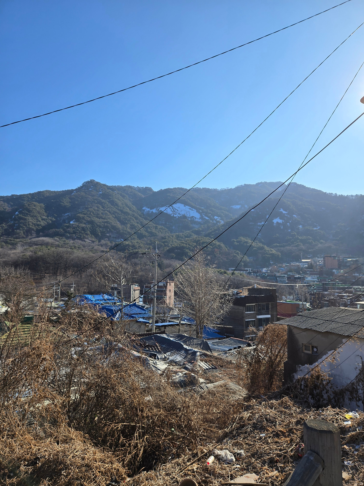 온라인 카지노 게임