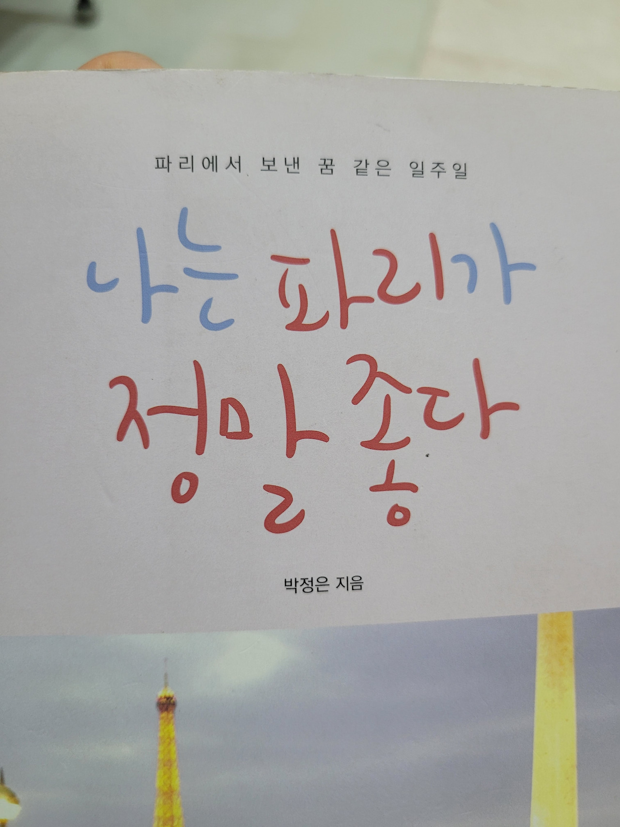 나는 파리가 정말 좋다..jpg