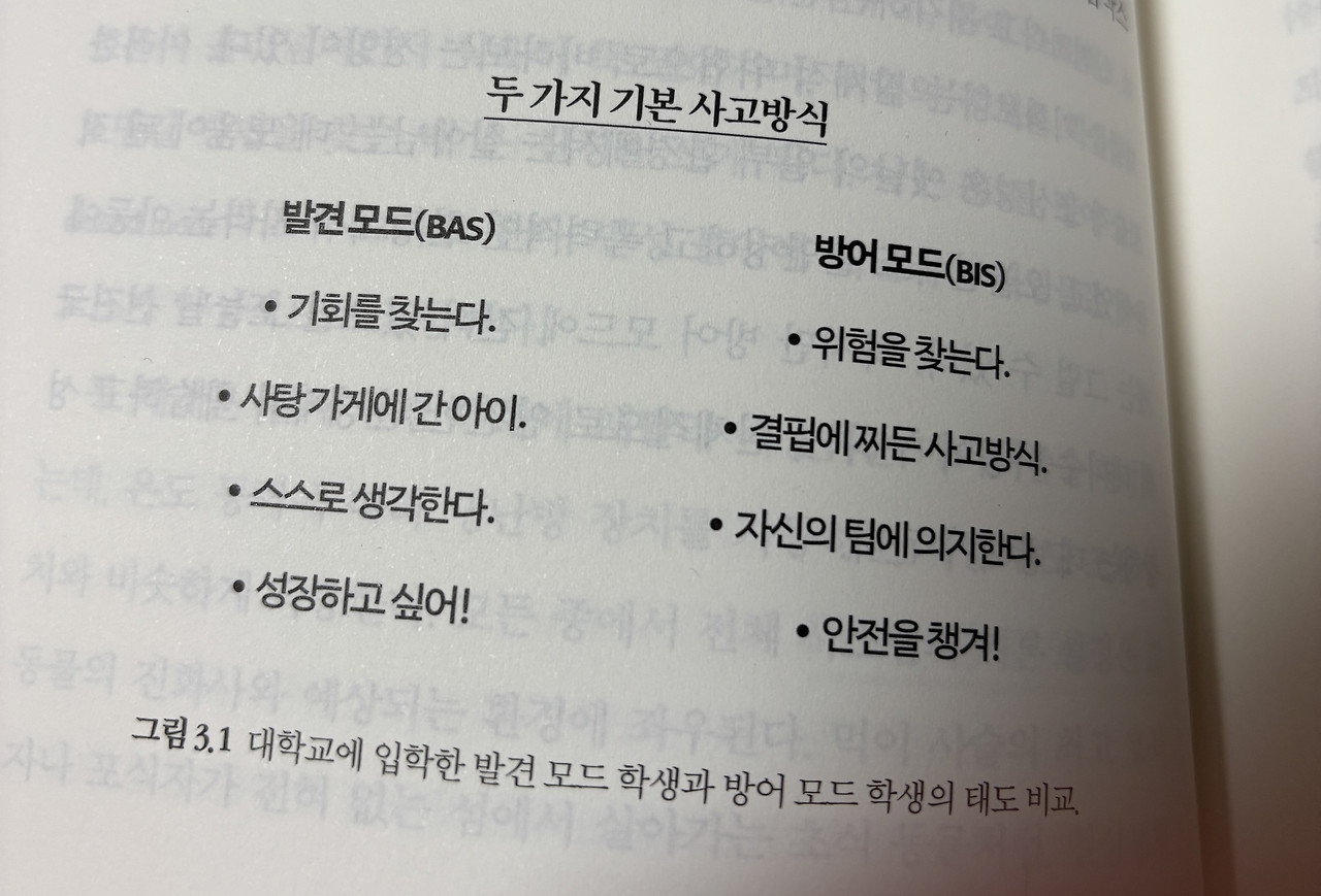 카지노 게임