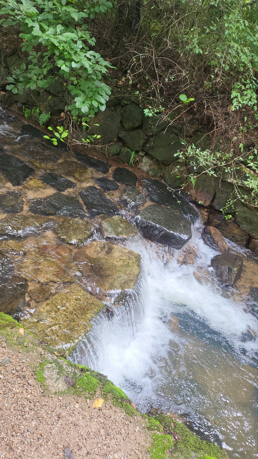 실개천 사진.jpg