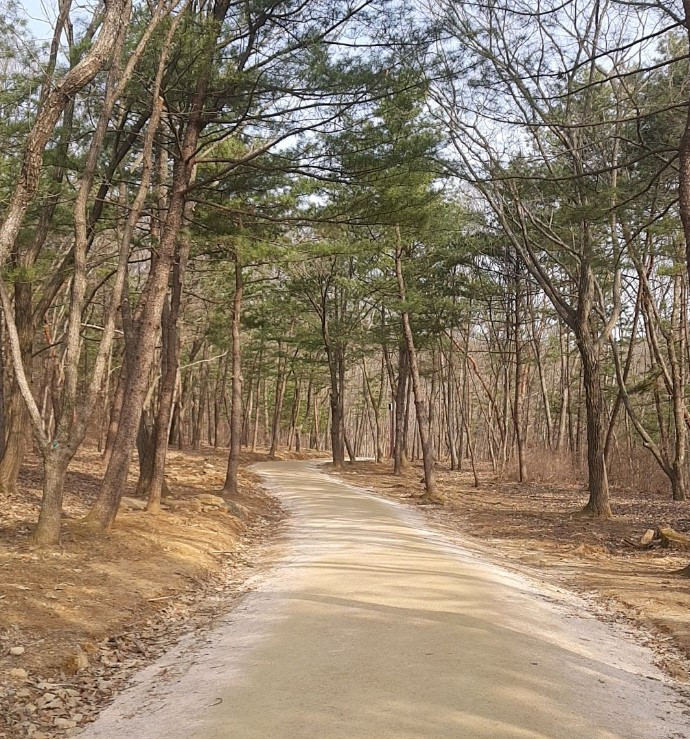 화면 캡처 2023-04-30 181458.jpg