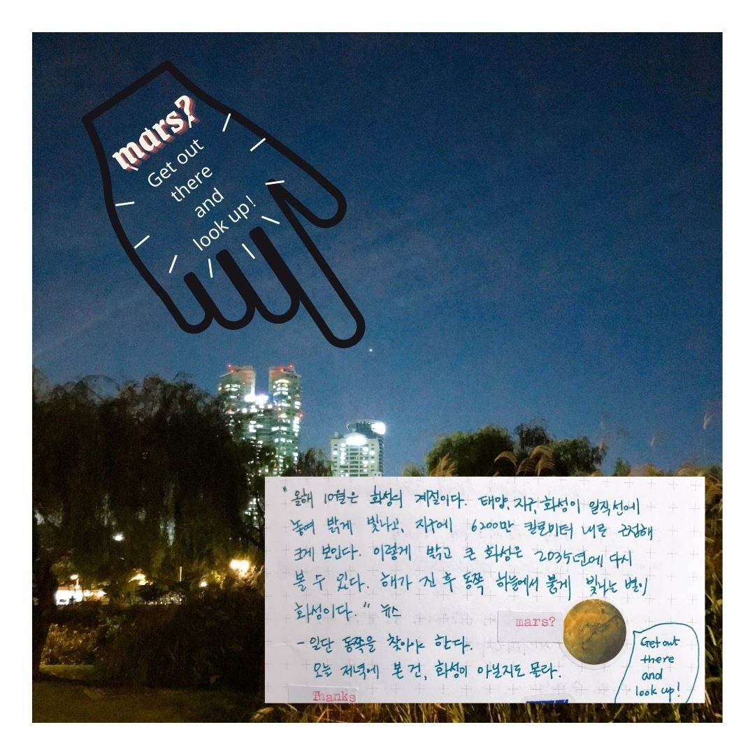 Get out there and look up!.jpg