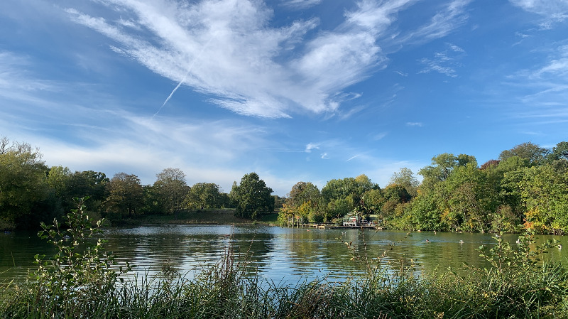 햄스테드 히스.jpg