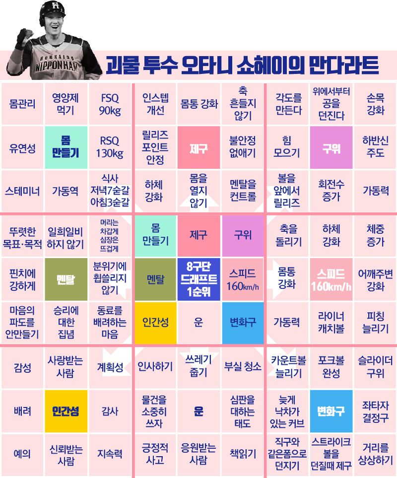 오타니 쇼헤이.jpg