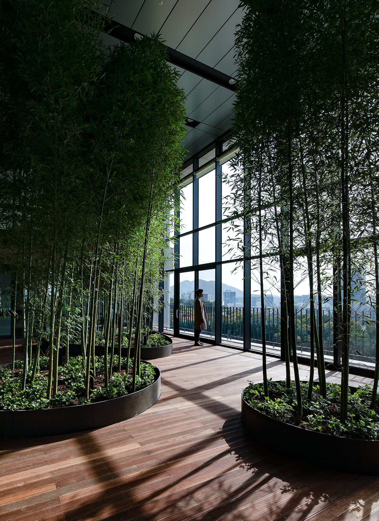 사진3축_디어스 타워 9층과 10층의 공중정원(아트리움)에 조성돼 있는 대나무 숲. ⓒ나르실리온(김용순).jpg