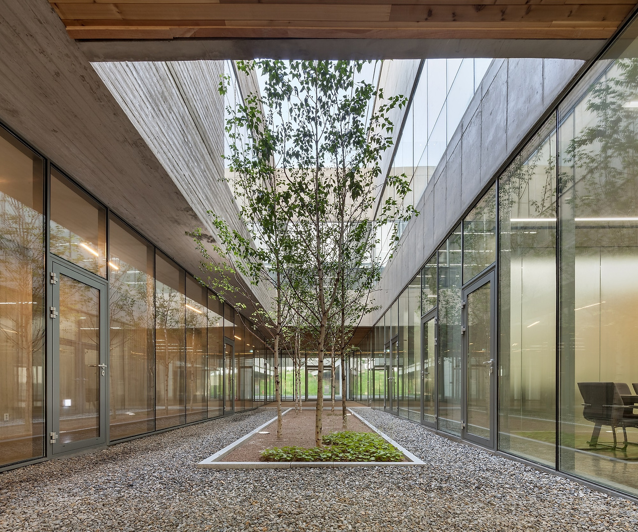 사진4_연구소 사무동과 공장건물 사이로 자작나무를 심어놓은 1층의 중정. ⓒ신경섭.jpg