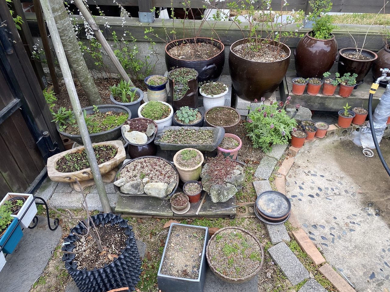 연우네 마당1.jpg